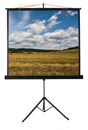 Funscreen Tripod vetítővászon (240x240cm)