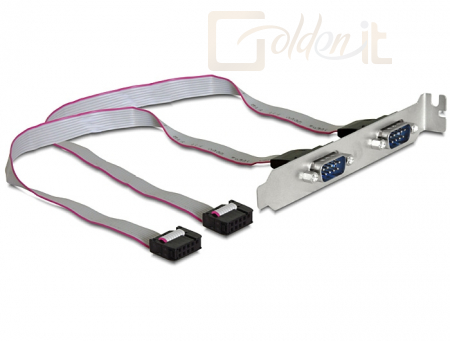 DeLock Serial adapter slot konzol  - 2x soros port