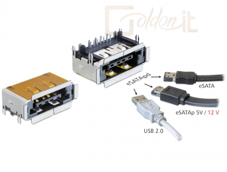 DeLock csatlakozó eSATApd anya eSATA + USB 2.0 5 V / 12 V