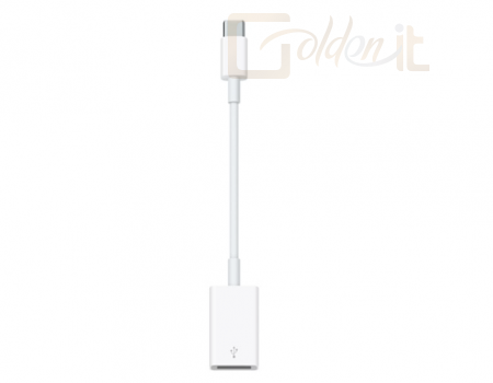 Apple USB-C to USB Adapter