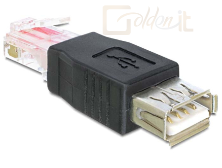 DeLock USB female > RJ45 male Adapter